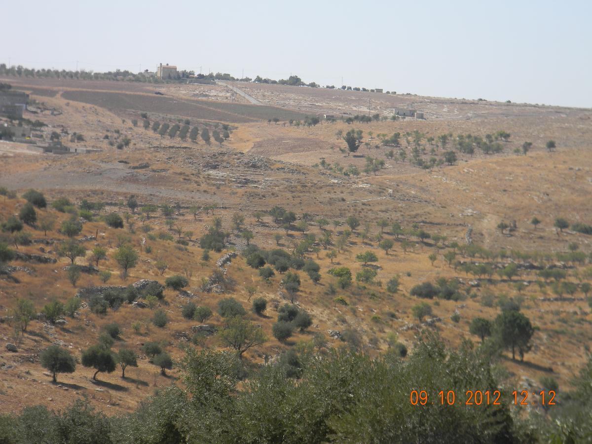 Town Of Mount Nebo Villa มาดาบา ภายนอก รูปภาพ